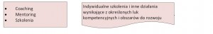 rozwój kompetencji sukcesorów